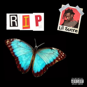 日本黄页网站免费大全
